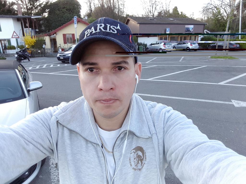 Morrisseycalux