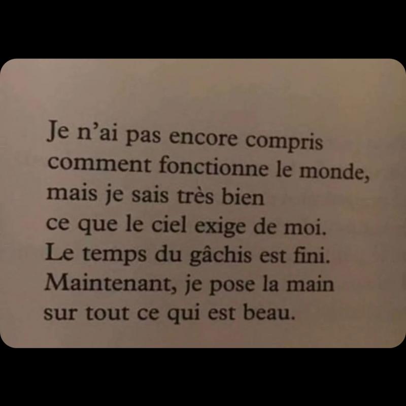 lilou2551