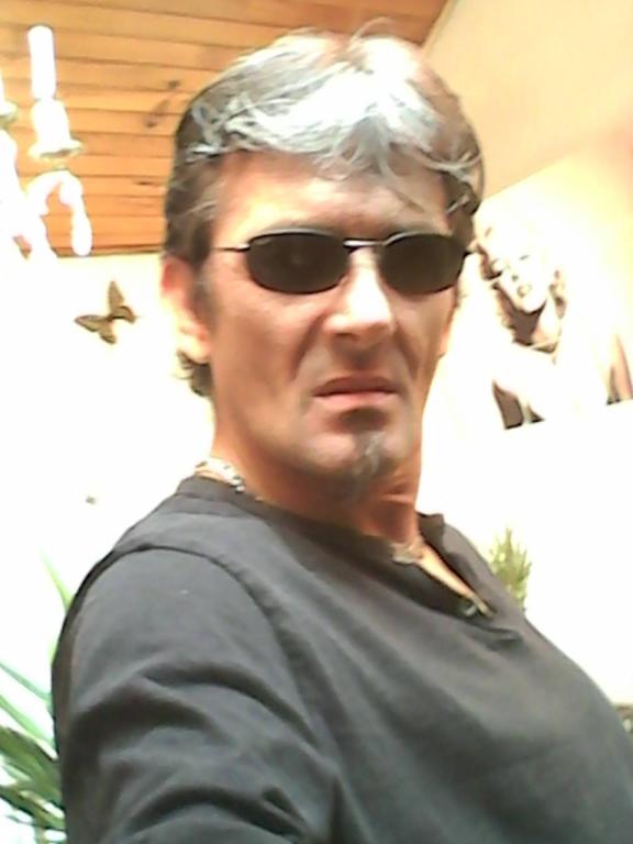 dobermann