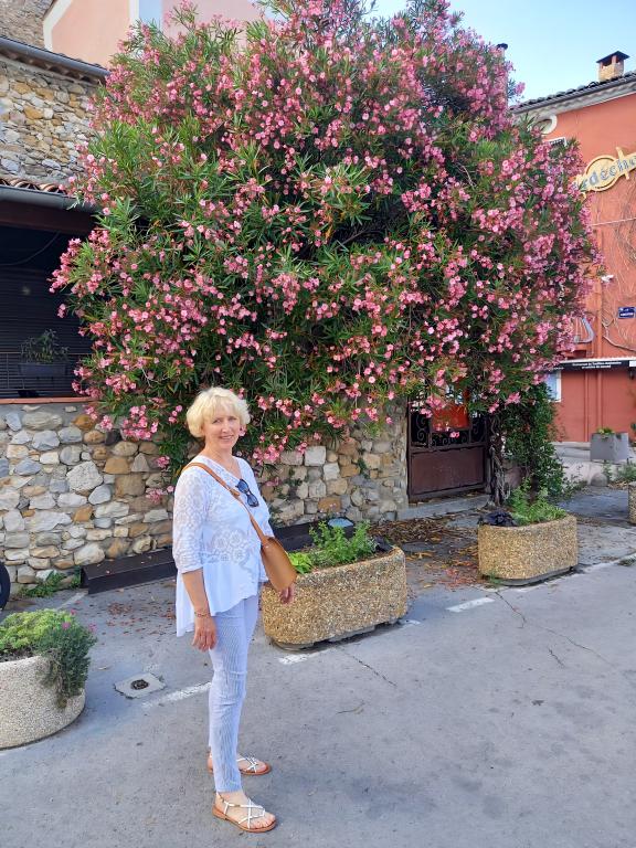 Anne0806