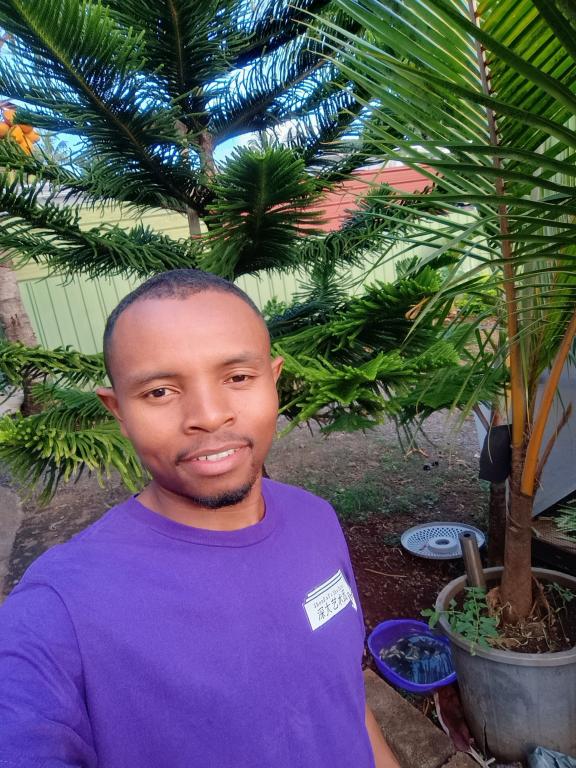 Ismoael12