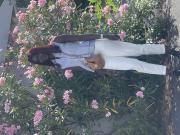 Photo Nafissatou