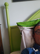 Bat29